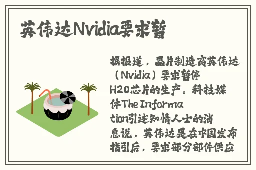 xvideos中文版在线视频